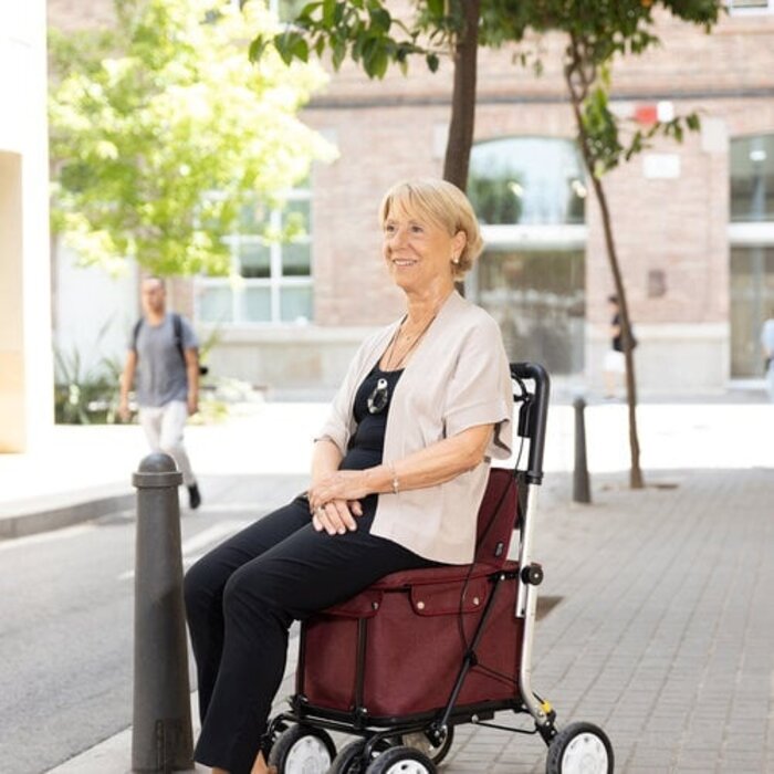Carlett trolley - walker & caddy in 1