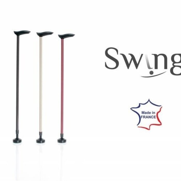 Tango Walking Stick - The walking stick that stays upright on its own!