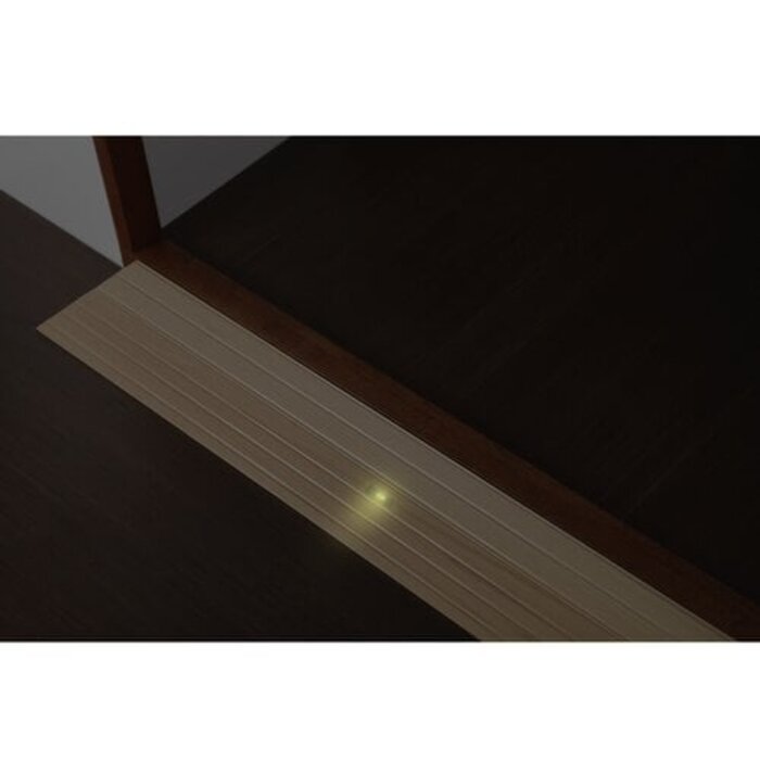 Threshold aid with LED lighting