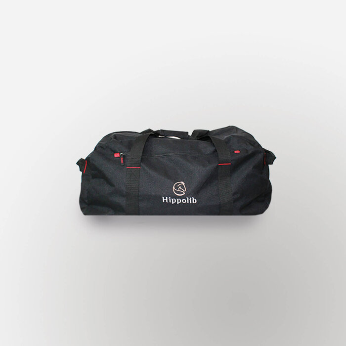 Innovative Saddle Module for Inclusive and Safe Horse Riding