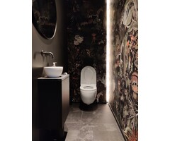 Toiletbril met Geïntegreerde Geurextractie