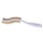 Ergonomic back brush