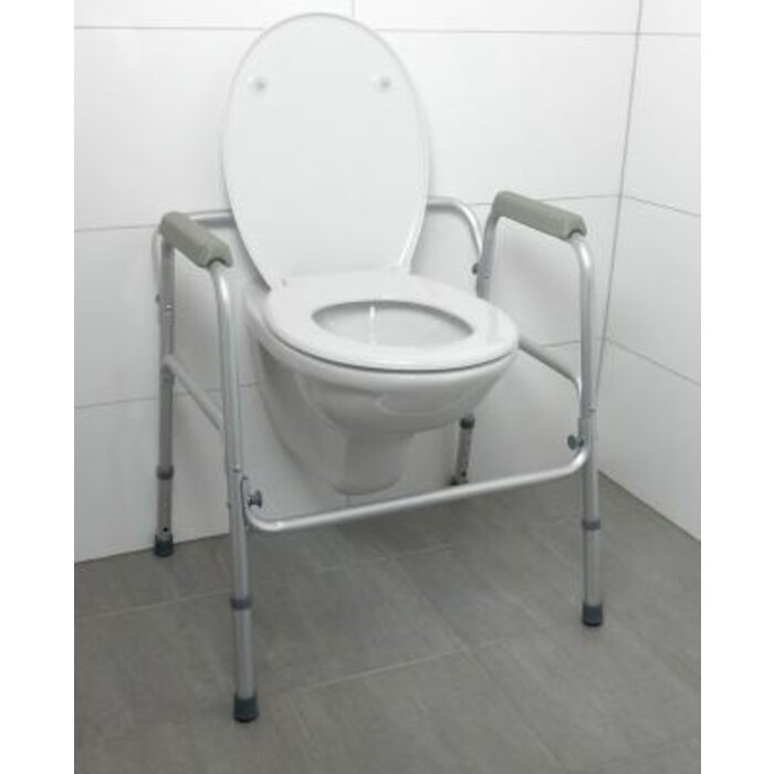 Toilet frame