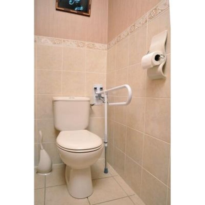 Hoist with footrest