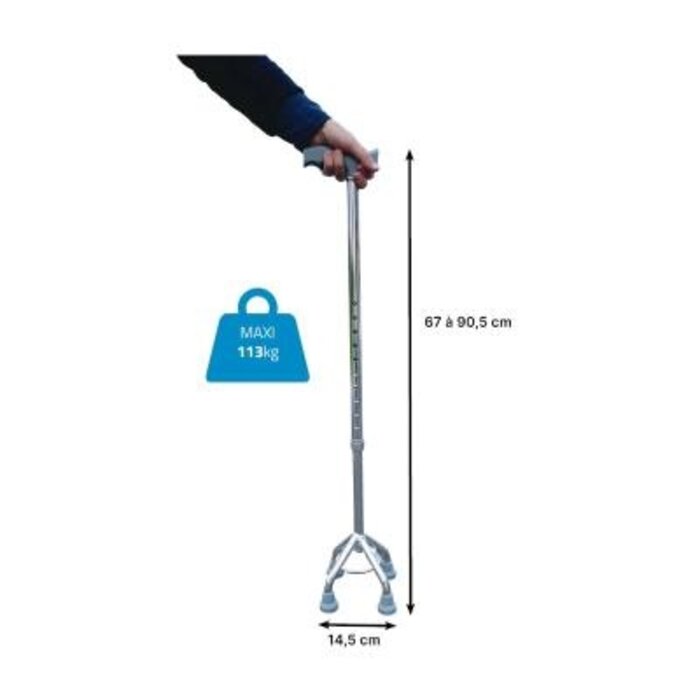 Classic four-pointer