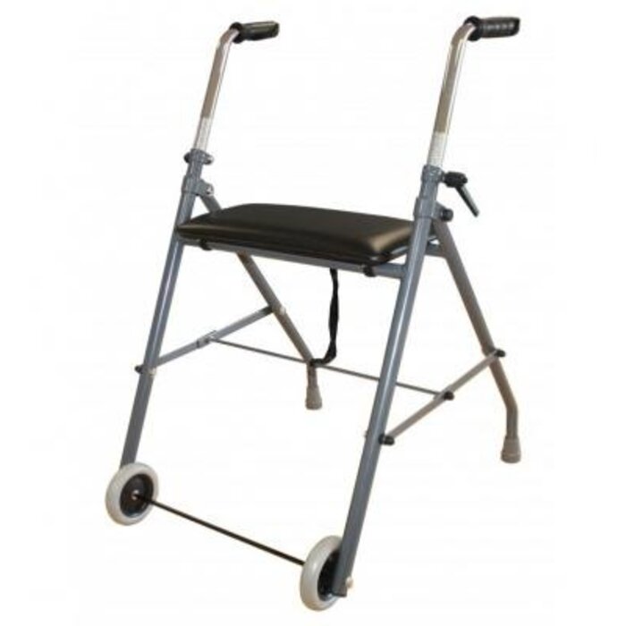 Foldable Rollator with 2 wheels