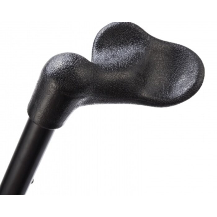 Walking stick anatomical - black