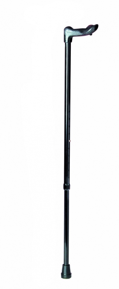 Walking stick anatomical - black