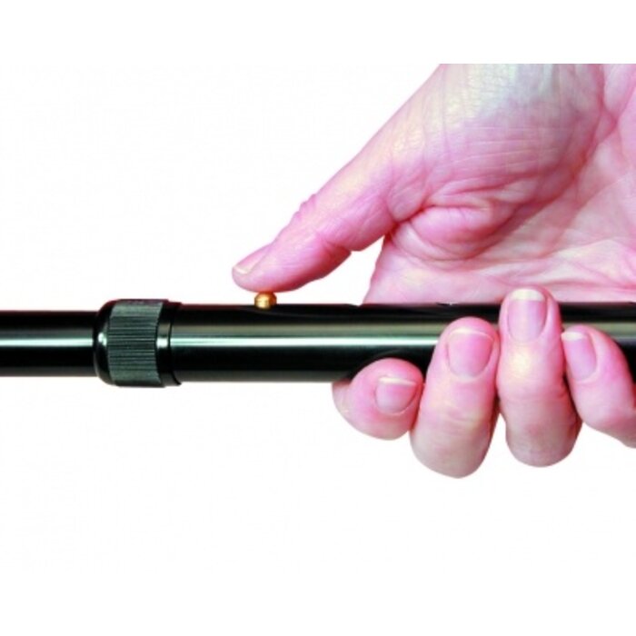 Walking stick anatomical - black