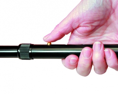 Walking stick anatomical - black