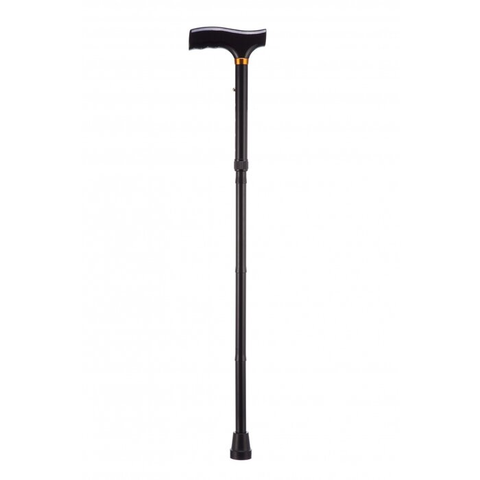 Bâton de marche pliable - noir