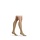 Classique Classe 2 AD - Couleur Caramel