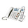 geemarc combi amplidect 595