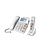 Geemarc amplidect 295 combi met fotohandset
