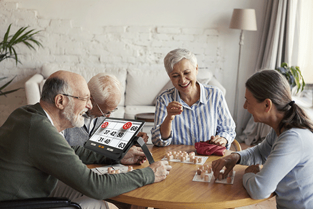 HUMANWARE Explore 12 Portable Screen Magnifier 12 inch