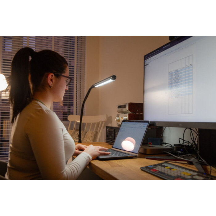 Lampe de table LED à intensité variable DAYLIGHT Electra E35221 avec pince