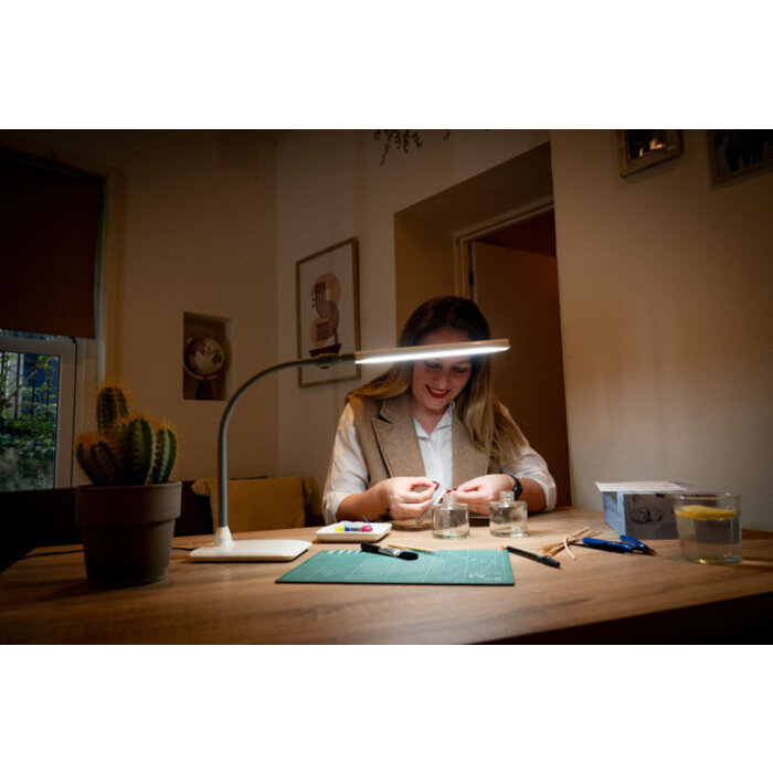 Lampe de table LED à intensité variable DAYLIGHT UnoPro N1450