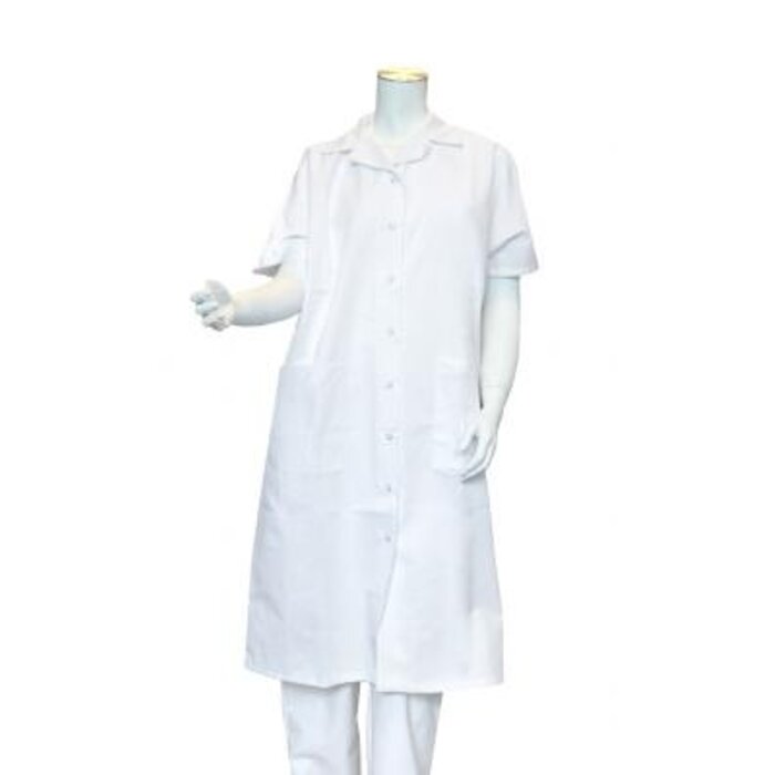 Ladies apron