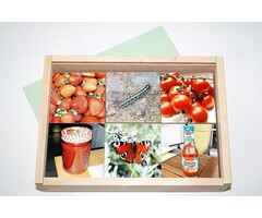 Paires logiques - Sujets variés