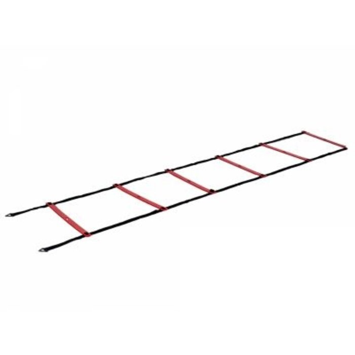 Pure 2 Improve Walking Ladder - 4.5 m