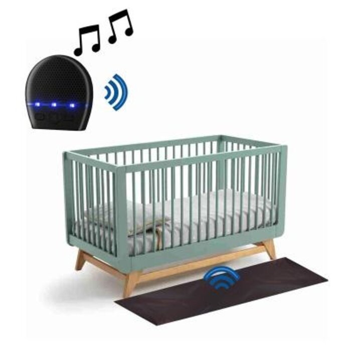 Tapis d'alarme 100 x 50 cm Identités