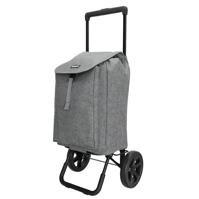 Shop2go with adjustable handle