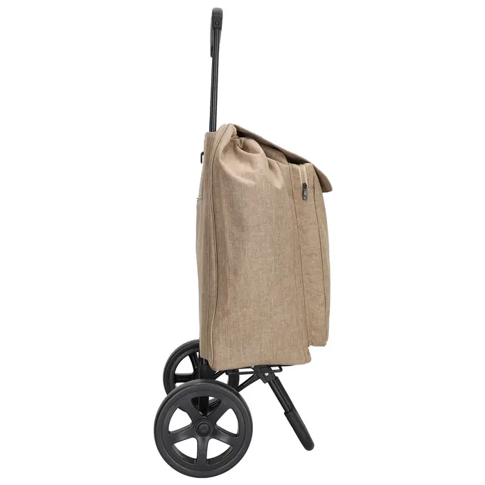 Shop2go with adjustable handle
