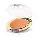 Golden Rose Terracotta Blush-On 6 Golden Rose Terracotta Blush-On 6