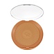 Golden Rose Bronzing Terra Powder Golden Rose Bronzing Terra Powder 103