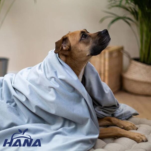 Dog therapy blanket