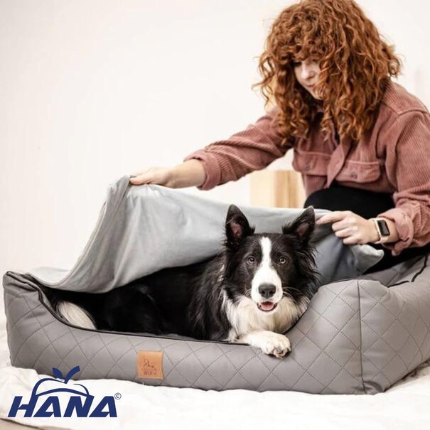 Hana Hundetherapie-Decke