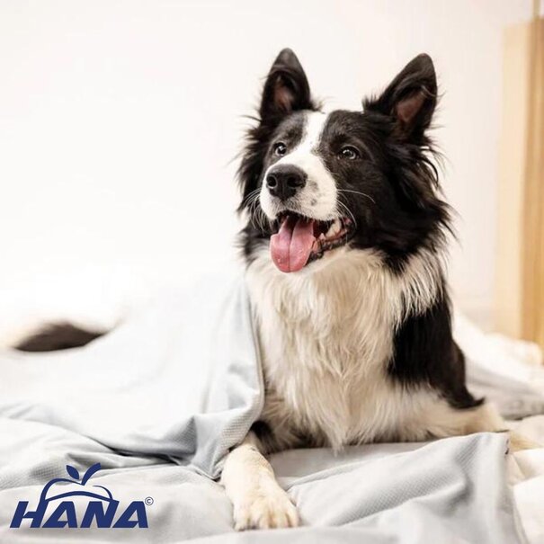 Hana Dog therapy blanket