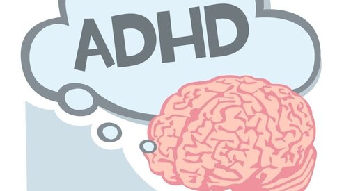 Maximaler geistiger Treibstoff: Die Korrelation zwischen Schlaf, Bewegung und optimaler Gehirnfunktion bei Kindern mit ADHS