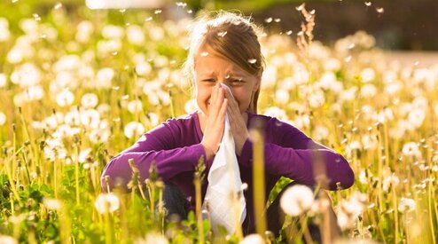 Why Hay Fever Makes You So Fatigued and Sleeping Badly