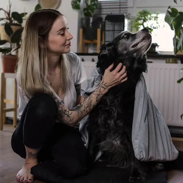 Dog therapy blanket