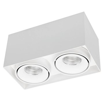 R&M Line Double light LED surface mounted spot