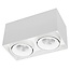 R&M Line Double light LED surface mounted spot