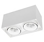 Double light LED surface mounted spot 2x9w 2700k white