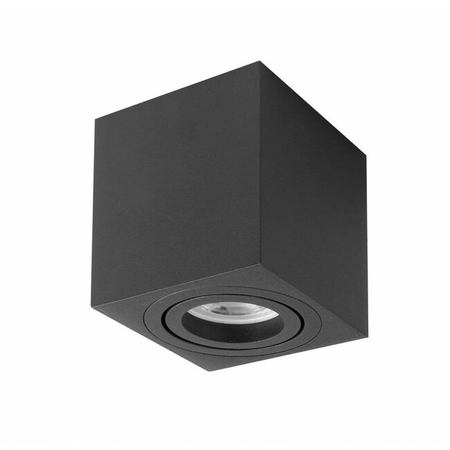 R&M Line Surface-mounted spot Rebel GU10 black