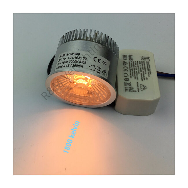 R&M Line LED module 6W IP65 Dim to warm 1800k ~ 3000k
