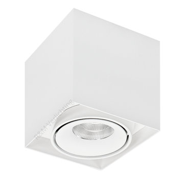 Lumi Parts LED opbouw armatuur Caja wit