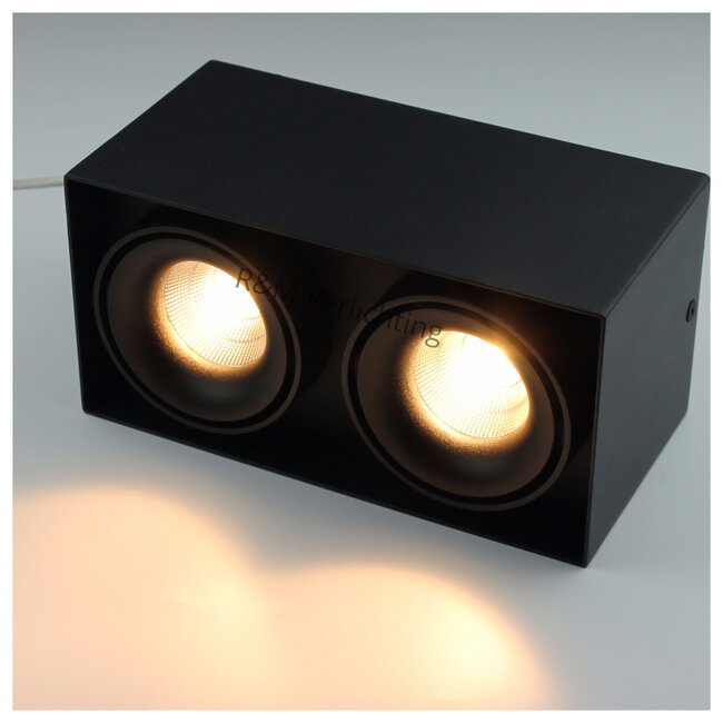 R&M Line Double light LED surface mounted spot 2x9w 2700k black