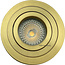 R&M Line LED downlight TILT-R gold IP65 6W 3000-1800 Kelvin dim-to-warm