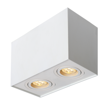 R&M Line Surface-mounted downlight double Obi2 white