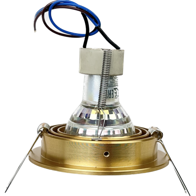 R&M Line Ronde Inbouwspot Tilt Blade 50 R mat-goud  GU10