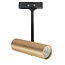 R&M Line 1 Fase rail spot Trend  mat-goud