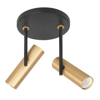 Highlight Mini GU10 Spot, Black/Gold, Adjustable, 2 Light
