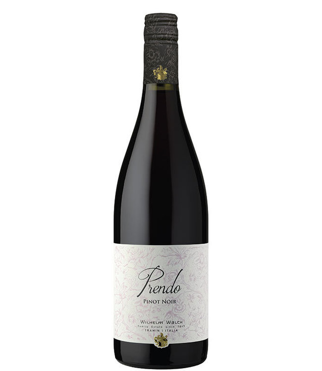 Wilhelm Walch Prendo - Pinot Noir - Vigneti delle Dolomiti IGT 2023