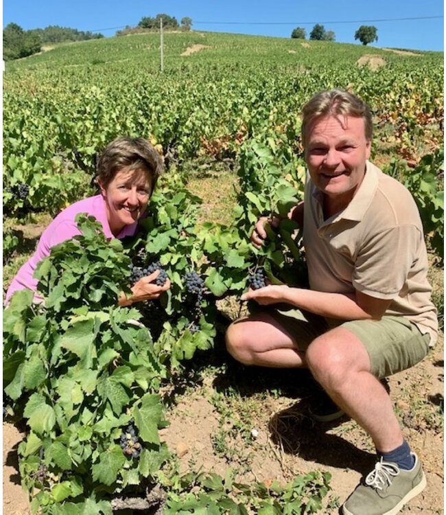 Domaine Anita - Premium Les Brureaux - Chenas AOC 2019