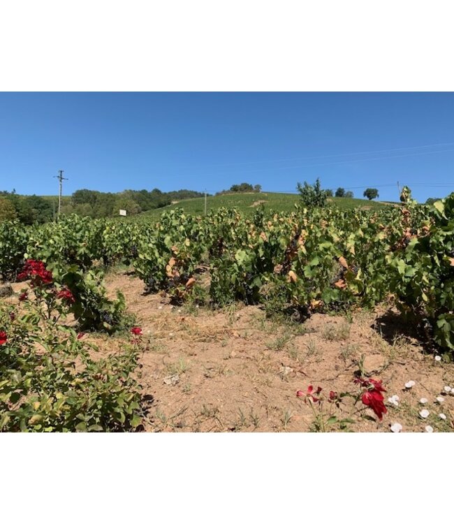 Domaine Anita - Premium Les Brureaux - Chenas AOC 2019